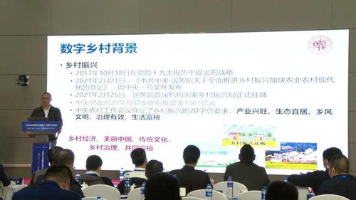 百余名計(jì)算機(jī)科技工作者齊聚崇明 共話(huà)軟件研發(fā)新未來(lái)